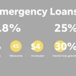 emergency loan statistics [state]